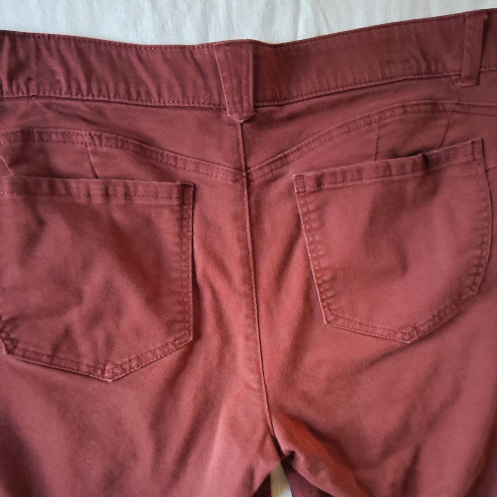 Rust Red Pants - image 3
